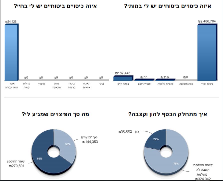 דוח פנסיוני מקיף